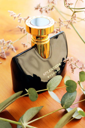 Bvlgari Splendida Jasmin Noir Eau de parfum 100 ml Women's Fragrance